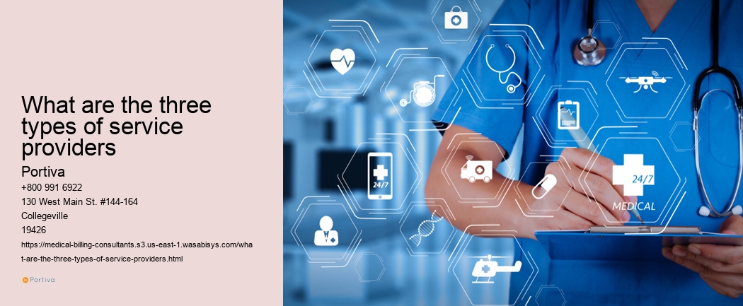 What are the three types of service providers
