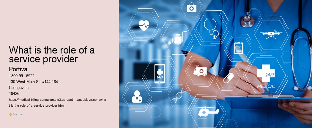 What is the role of a service provider